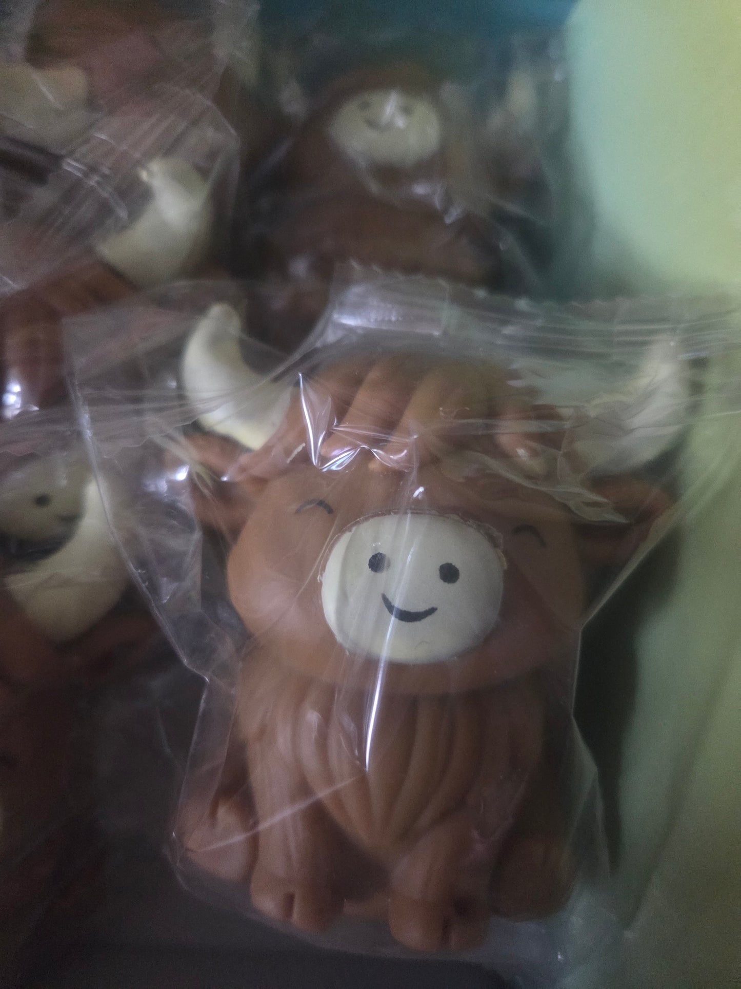 Maltose highland cow