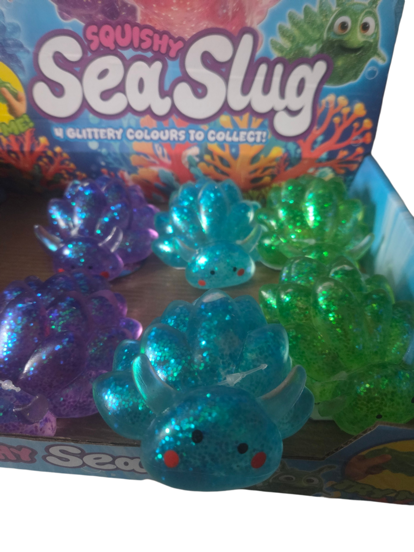 KTL Sea Slugs